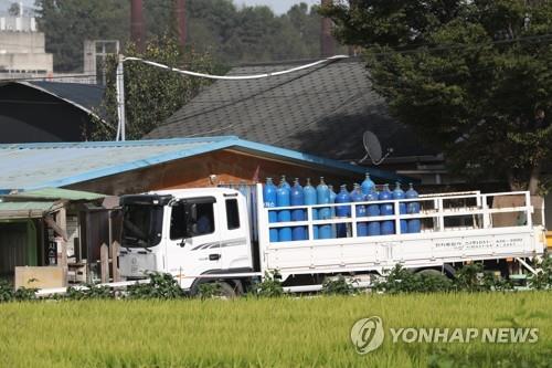 국내 첫 아프리카돼지열병 발생