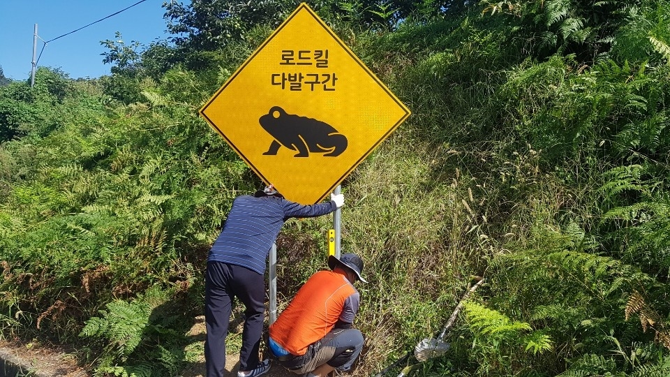 '로드킬 막자'…도로 표지판