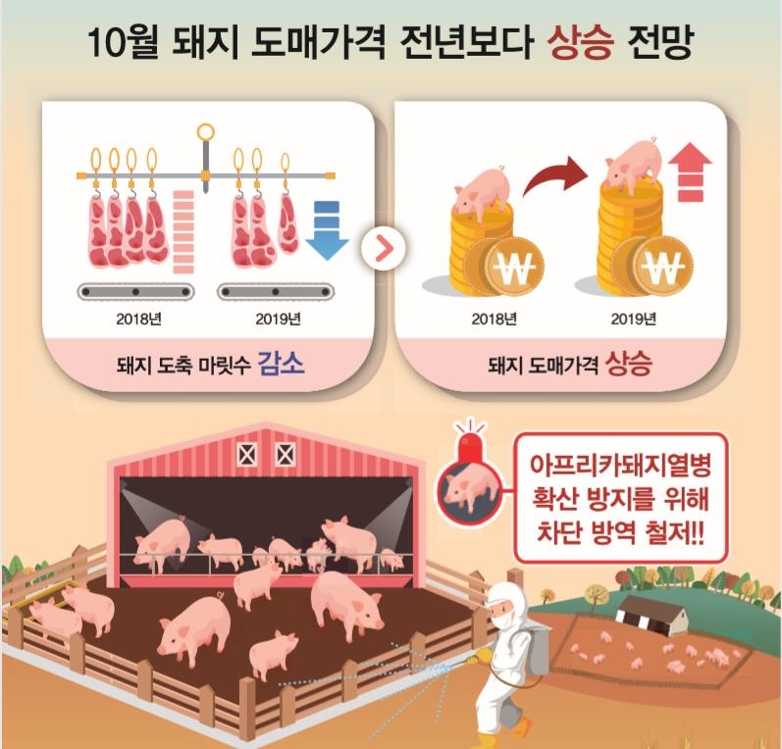 10월 돼지고기 가격 상승 전망