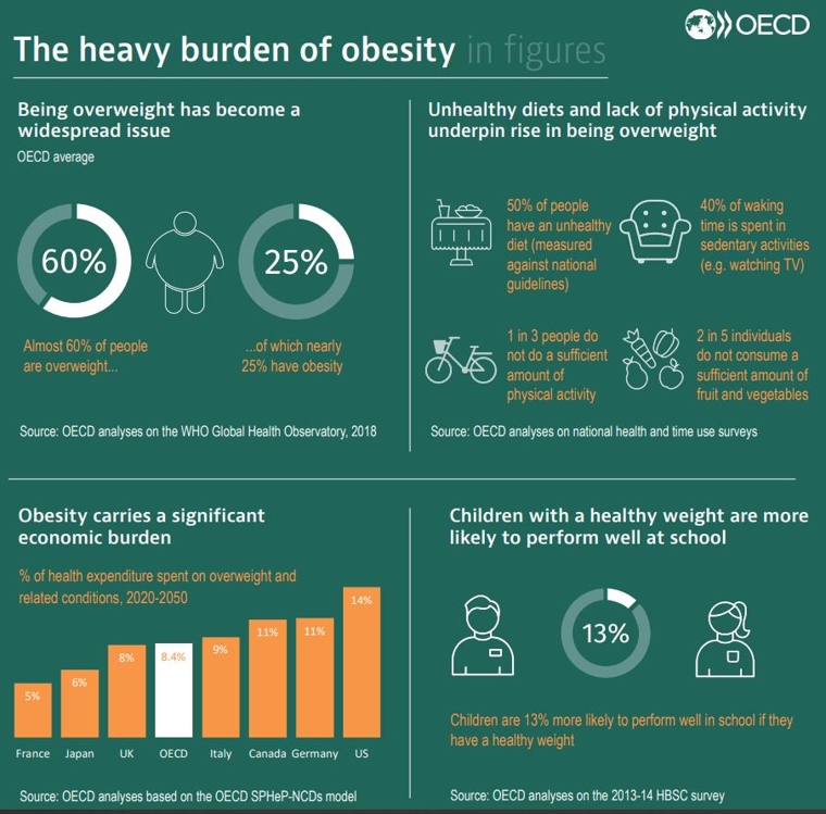 OECD 회원국 국민 60%가 과체중이고 25%가 비만. 건강한 체중을 유지하는 어린이는 학업성적이 비만 어린이보다 좋을 확률이 13%.[경제협력개발기구(OECD) 보고서 캡처]
