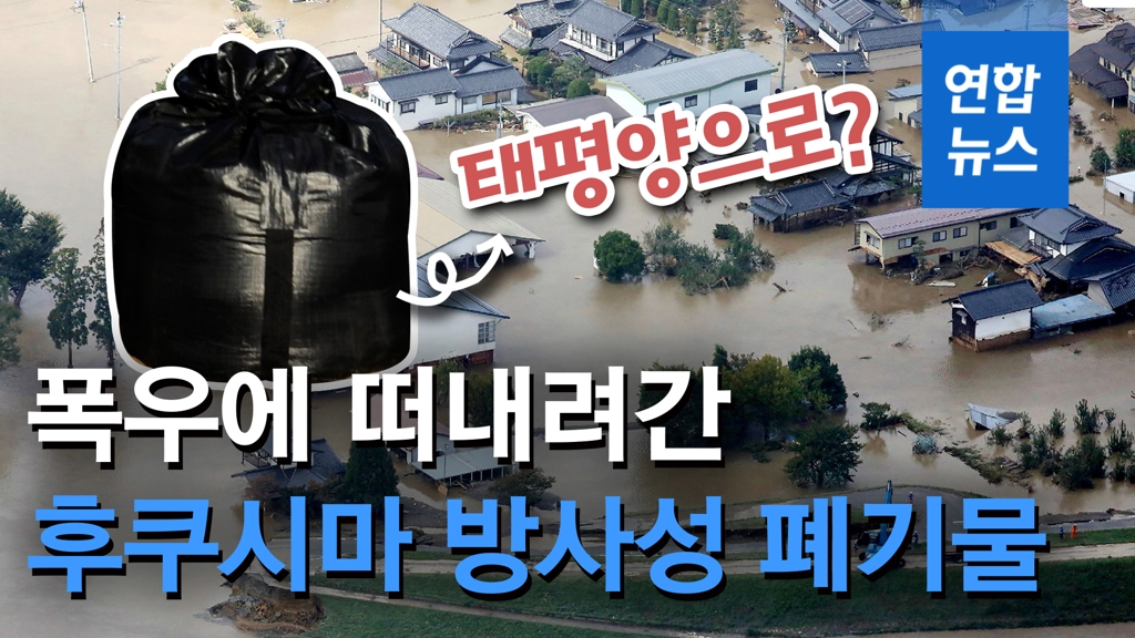 [영상] 폭우로 떠내려간 후쿠시마 방사성 폐기물, 태평양으로? - 2