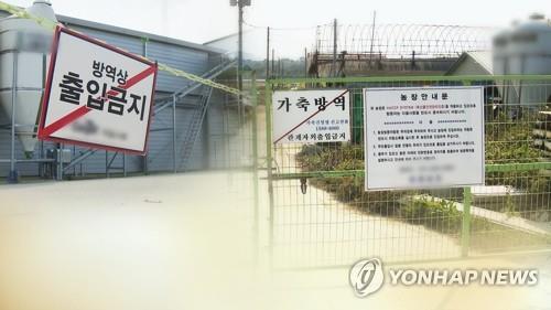 돼지열병에 조류 AI까지 축산농가 '초긴장' (CG)