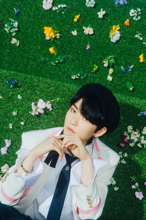 더보이즈 활