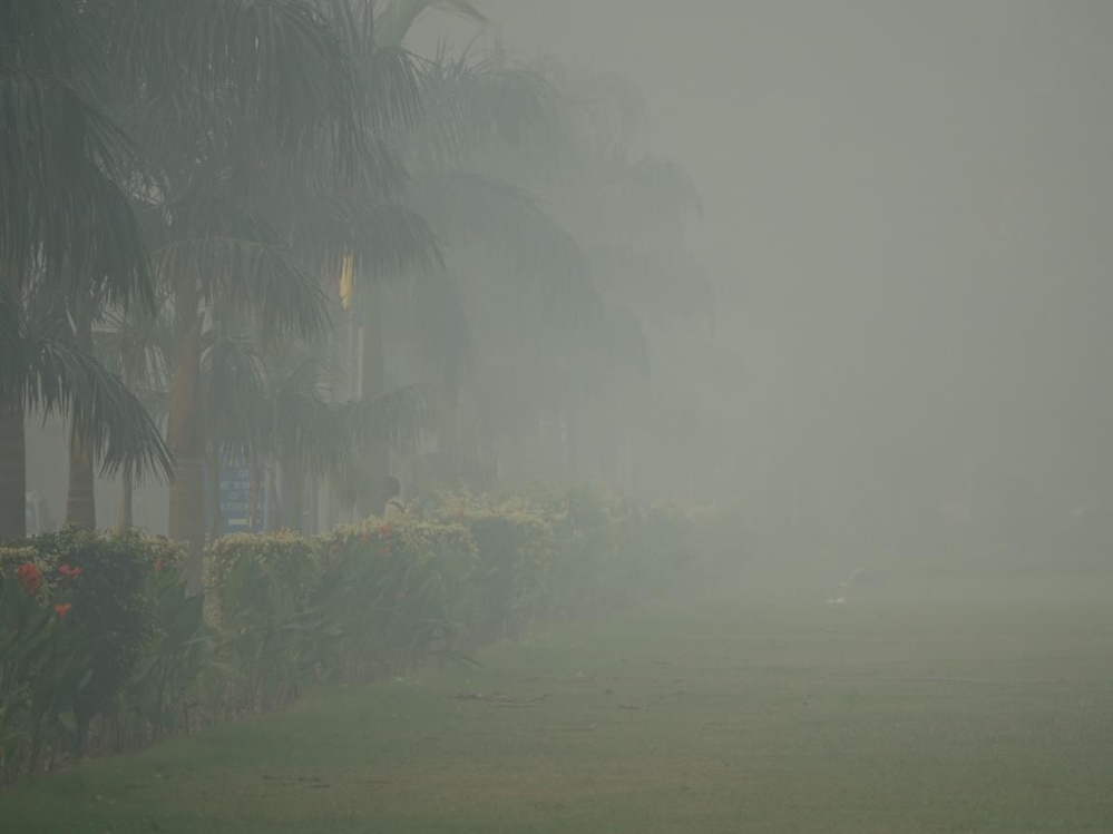 스모그가 가득한 뉴델리 대사관 지역 인근 공원