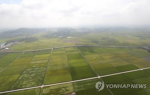 김제평야