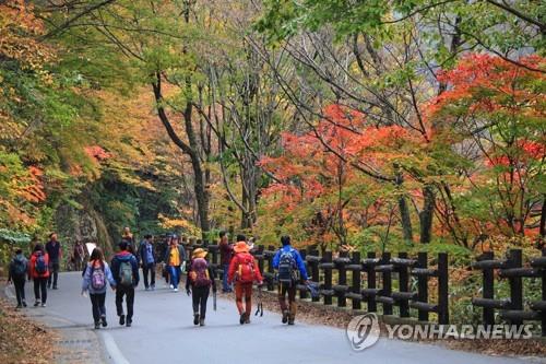 지리산 피아골 단풍