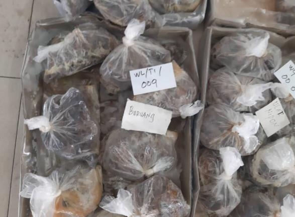 보르네오섬 불법 식당 급습…메뉴판에 '곰·천산갑·박쥐'