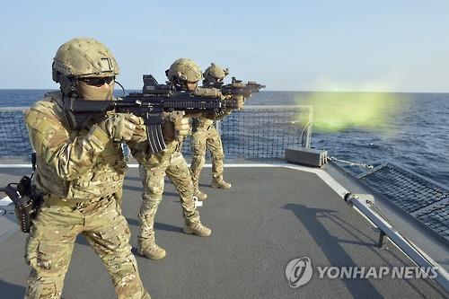 청해부대 UDT 검문검색팀 모습