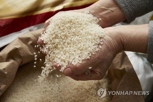 생쌀 자료사진.