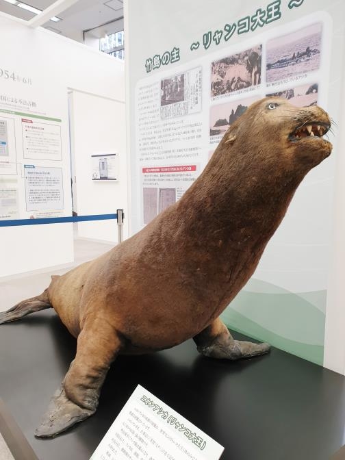 독도 전시관 내 대형 강치모형