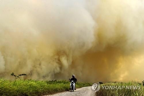작년 8월 남수마트라주에서 발생한 산불 연기