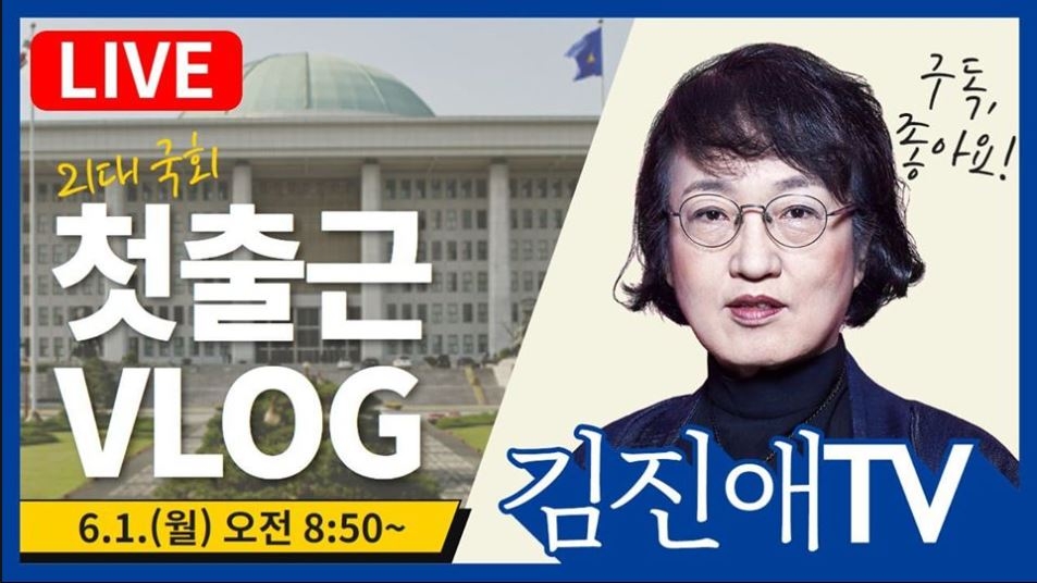 [열린민주당 김진애 의원 페이스북 캡처. 재판매 및 DB 금지]