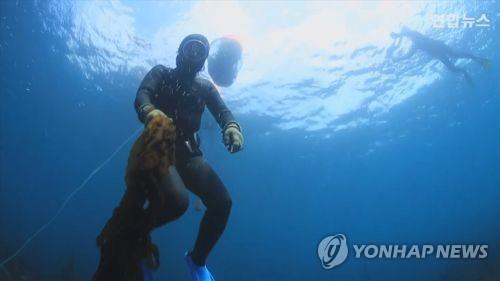 물질하는 해녀