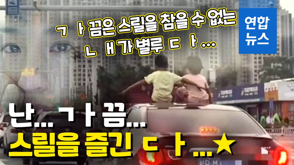 [영상] 쌩쌩 달리는 차 위에 앉은 '무법자 쌍둥이'? - 2