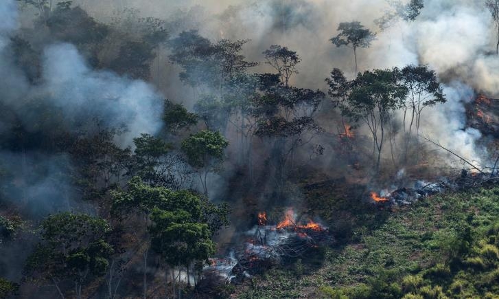 불타는 아마존 열대우림 [국제환경단체 그린피스]