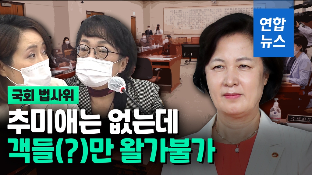 [영상] 추미애 없는 법사위서 추미애 공방전…김진애 "흥신소 같아" - 2