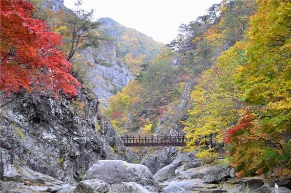 주왕산 절골계곡 가을