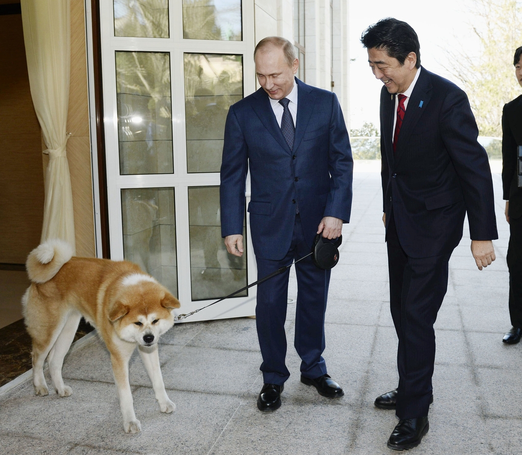 2014년 2월 8일 러시아 소치에서 블라디미르 푸틴(왼쪽) 러시아 대통령이 일본 아키타현으로부터 선물로 받은 아키타견과 함께 아베 신조 당시 일본 총리를 맞이하고 있다. [교도=연합뉴스 자료사진]