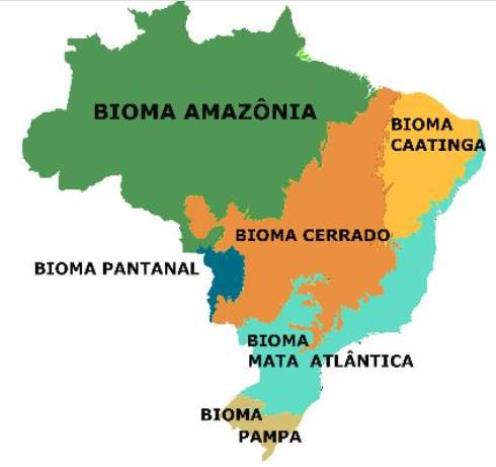 브라질의 6개 삼림 지역