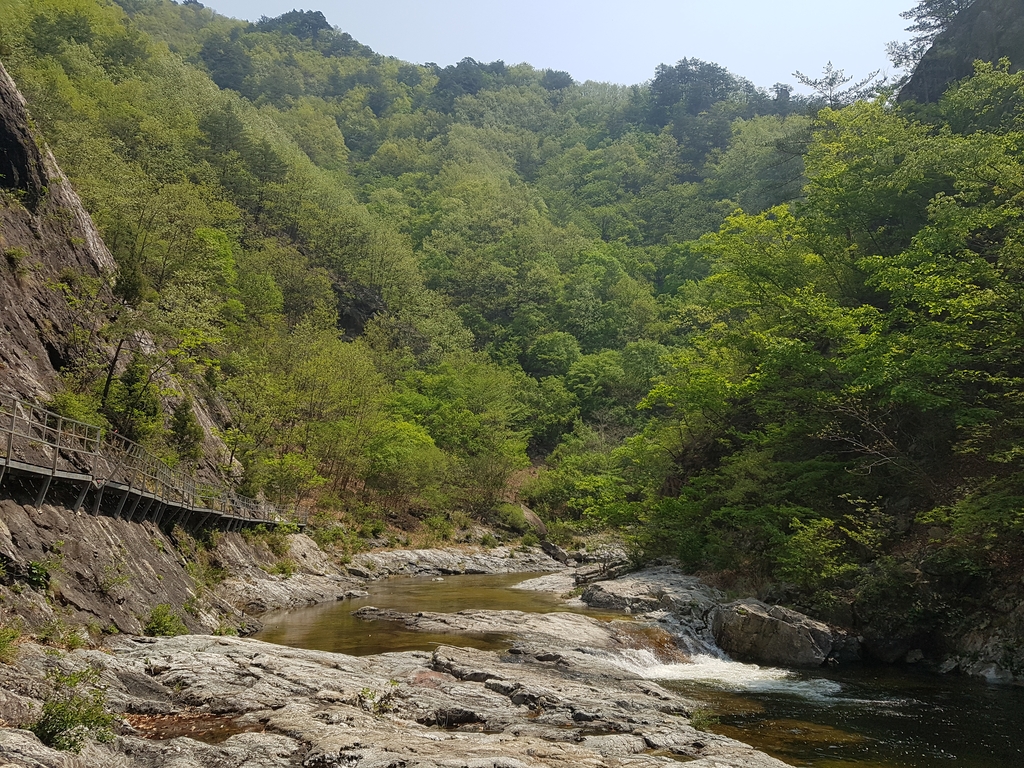 삼척 덕풍계곡