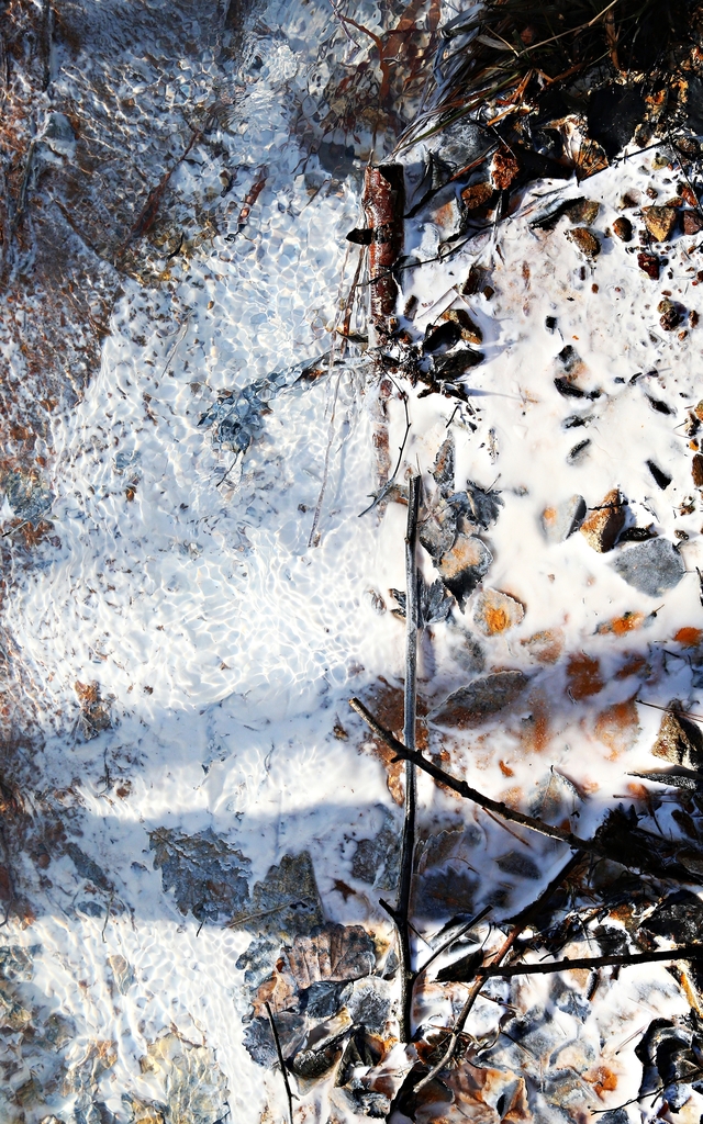 태백시 지지리골 자작나무 숲 옆 구멍 아래 하얀색 침전물
