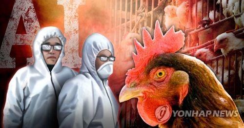 조류인플루엔자(AI) 확산 (PG)