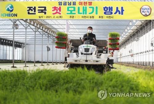 임금님표 이천쌀 첫 모내기