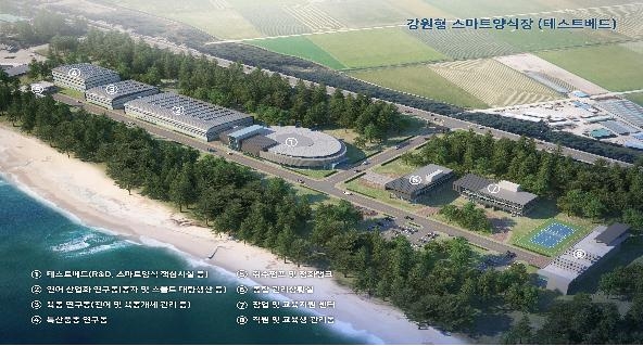 강원형 스마트 양식장
