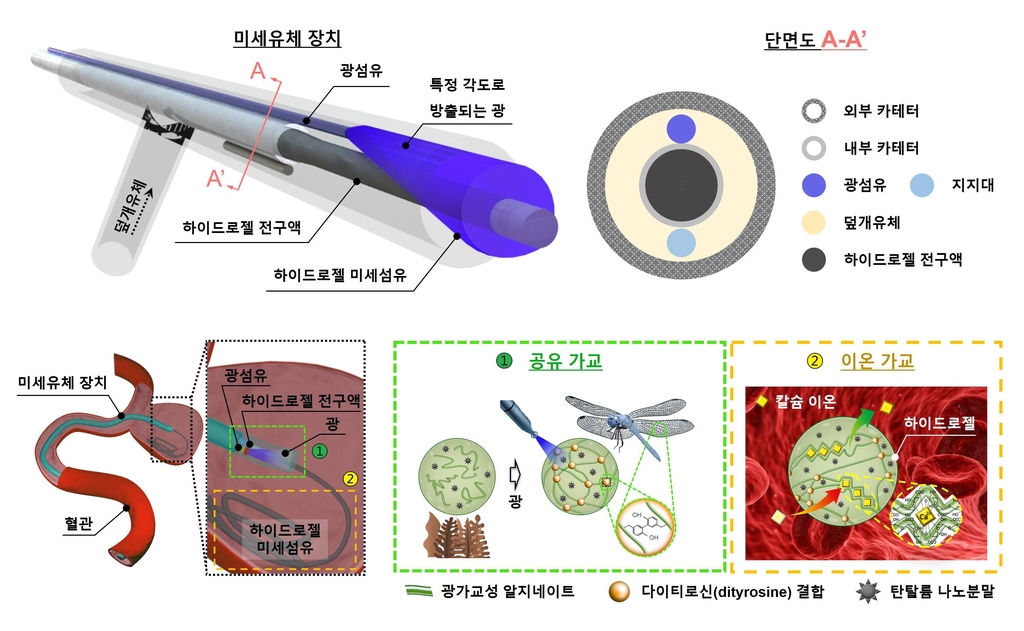 연구 개념도