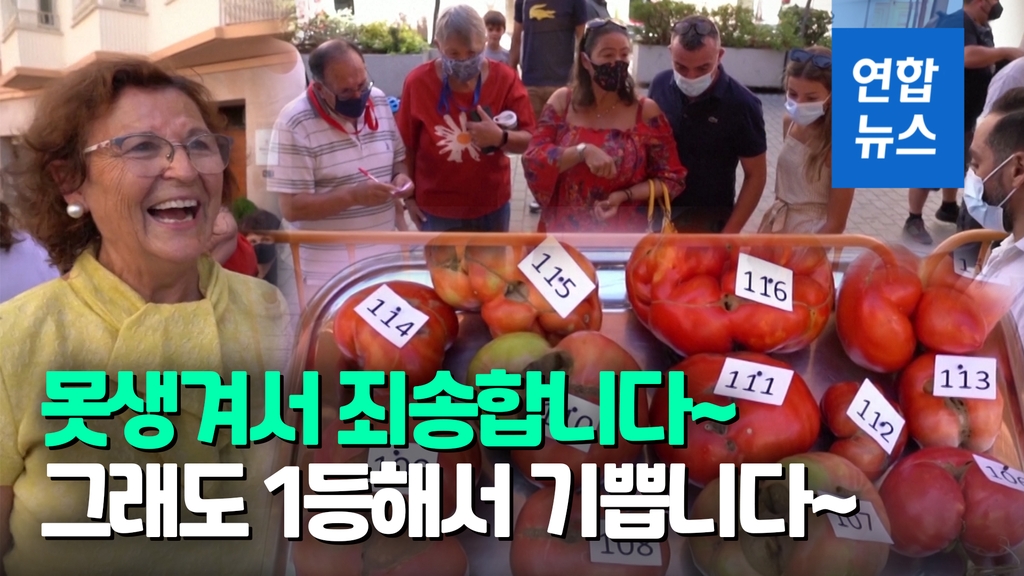 [영상] "예쁘면 예선 탈락"…스페인서 '가장 못생긴 토마토' 선발대회 - 2