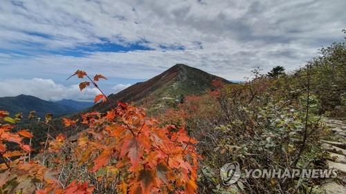 단풍 물드는 설악산