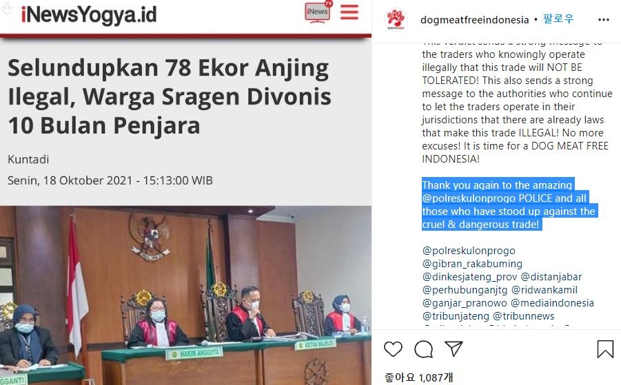 도그미트프리인도네시아 "놀라운 판결에 감사"