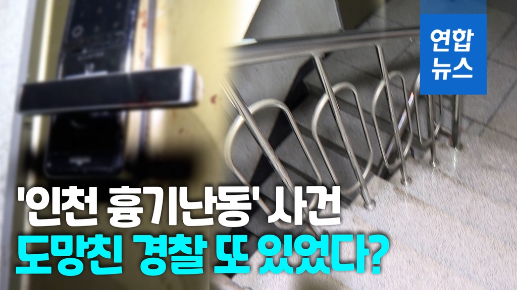 [영상] 남경도 현장서 도망쳤다?…'인천 흉기난동' 당시 도주 정황 - 2
