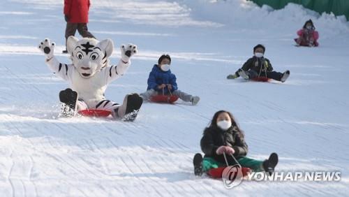썰매 타는 시민과 호랑이