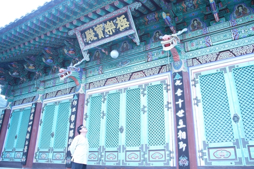 극락보전 단청 둘러보는 권현규씨