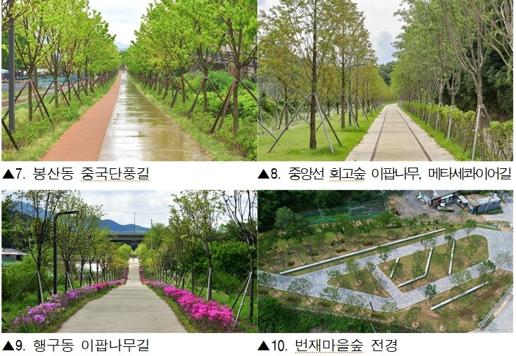 치악산 바람길숲 전경