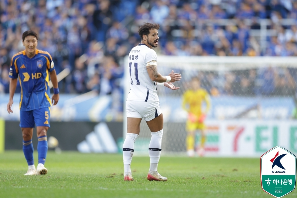 대구FC 외국인 선수 세징야