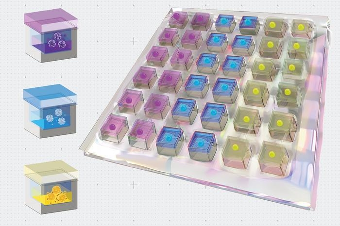 시간조절형 미세입자 약물전달 시스템(TIMED) 그래픽