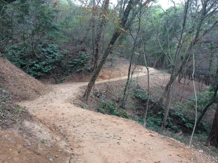 '영광 물무산 행복숲' 숲 속 둘레길 일부 임시 개통 - 1