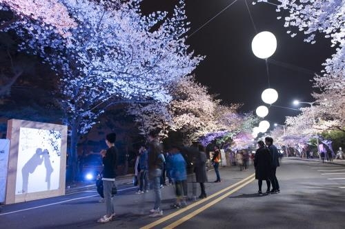 '전시도 보고 벚꽃축제도 즐기고' 문화공간으로 거듭난 경마장 - 1