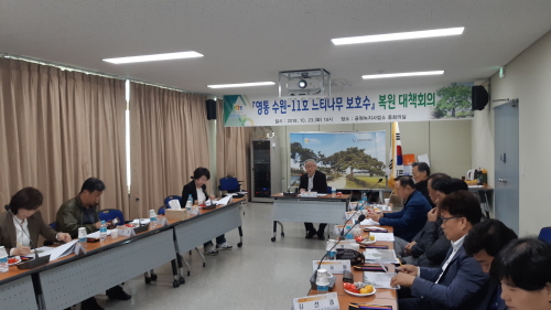 수원시, 영통 단오어린이공원 느티나무 복원 회의 개최 - 1