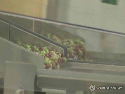 Imagen de una fábrica farmacéutica proporcionada por la Televisión de Noticias Yonhap. (Prohibida su reventa y archivo)