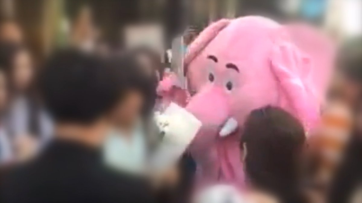 [통통영상] 강남역 추모공간에 나타난 '핑크 코끼리'