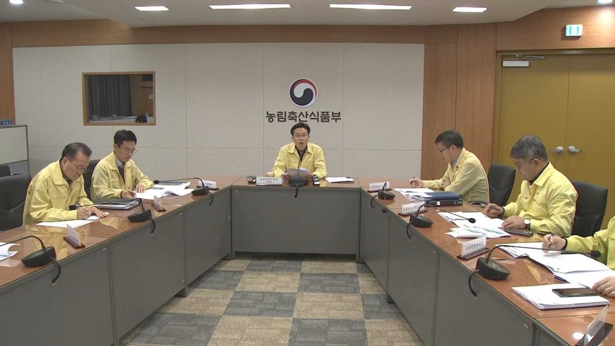 "접경지역 돼지열병 위험성 높아…방역 최선"