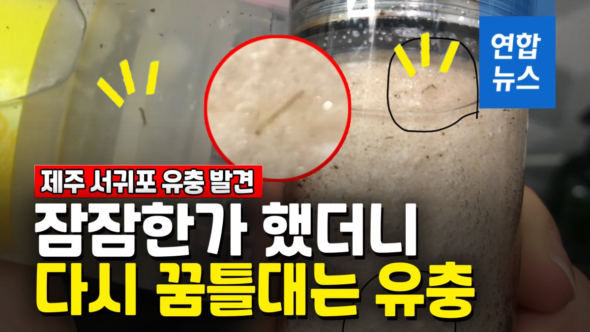 [영상] 샤워기 필터에 이물질 꿈틀…제주 서귀포 수돗물서 또 유충