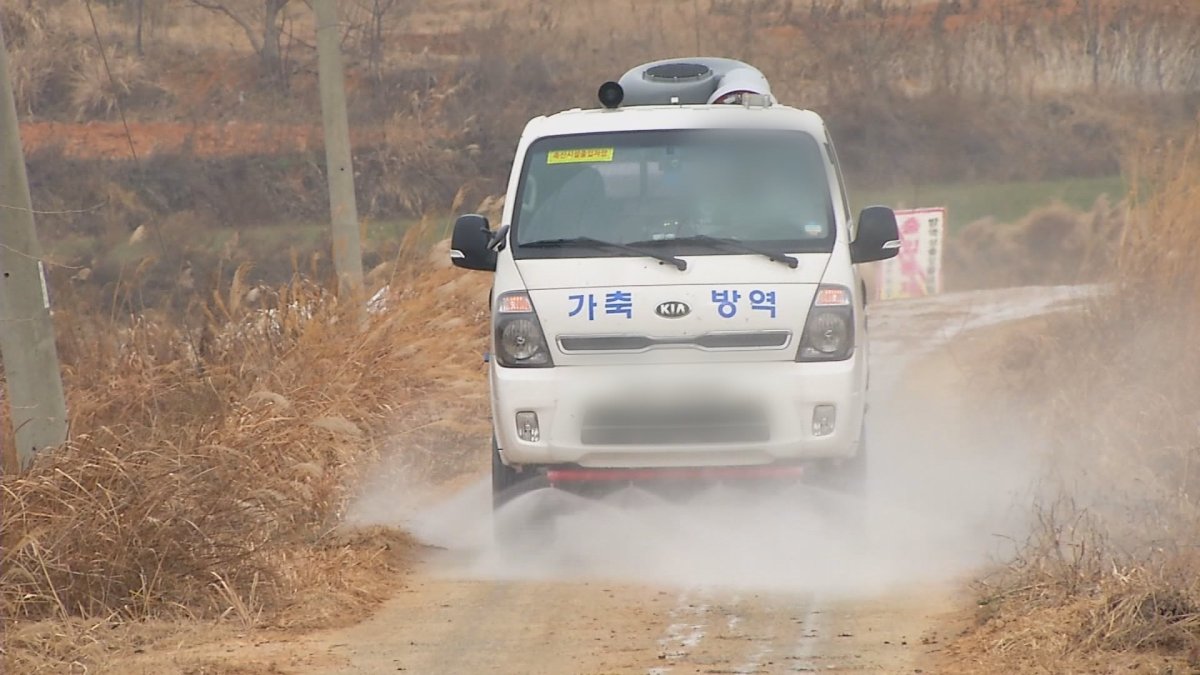 경기 이천 산란종계 농장서 AI 의심사례 발생
