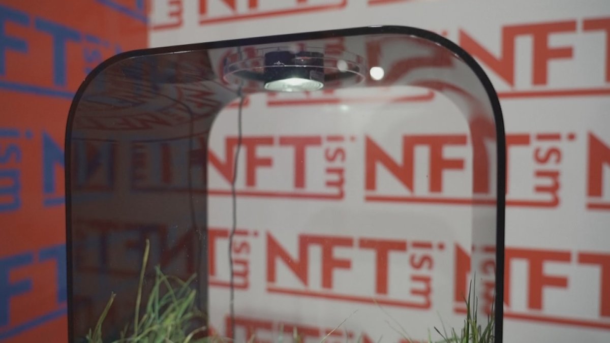 미술시장 흔드는 NFT 열풍…투기 비판도