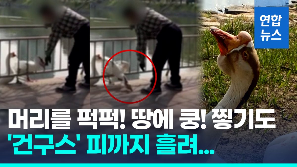 [영상] '건구스' 머리 퍽퍽! 폭행범 잡혔다…'무차별 폭행' 이유 묻자?