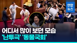  의원 난투극 중 법안 서류 뺏아 도주…'동물국회' 대만