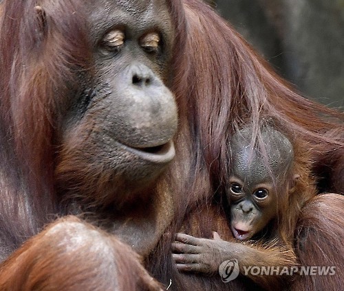 '다들 저를 보러 오셨군요!'